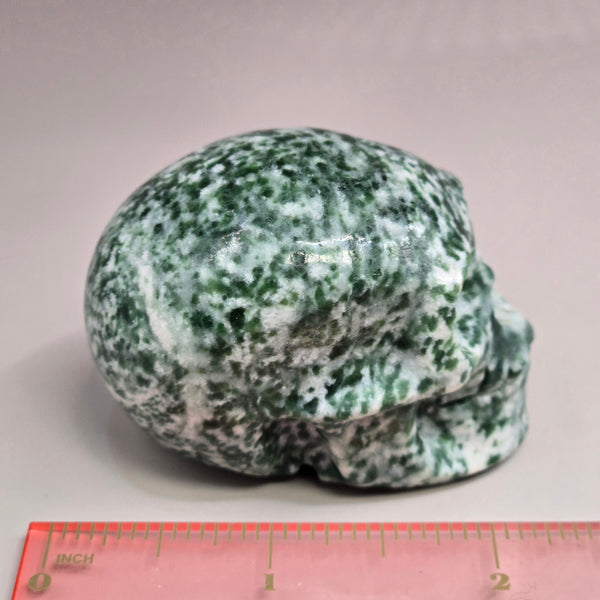 Tree Agate Skull