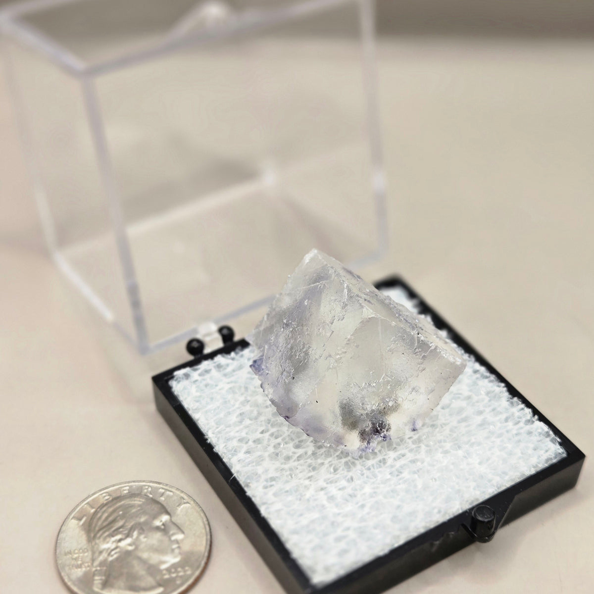Fluorite (Elmwood, Tennessee)