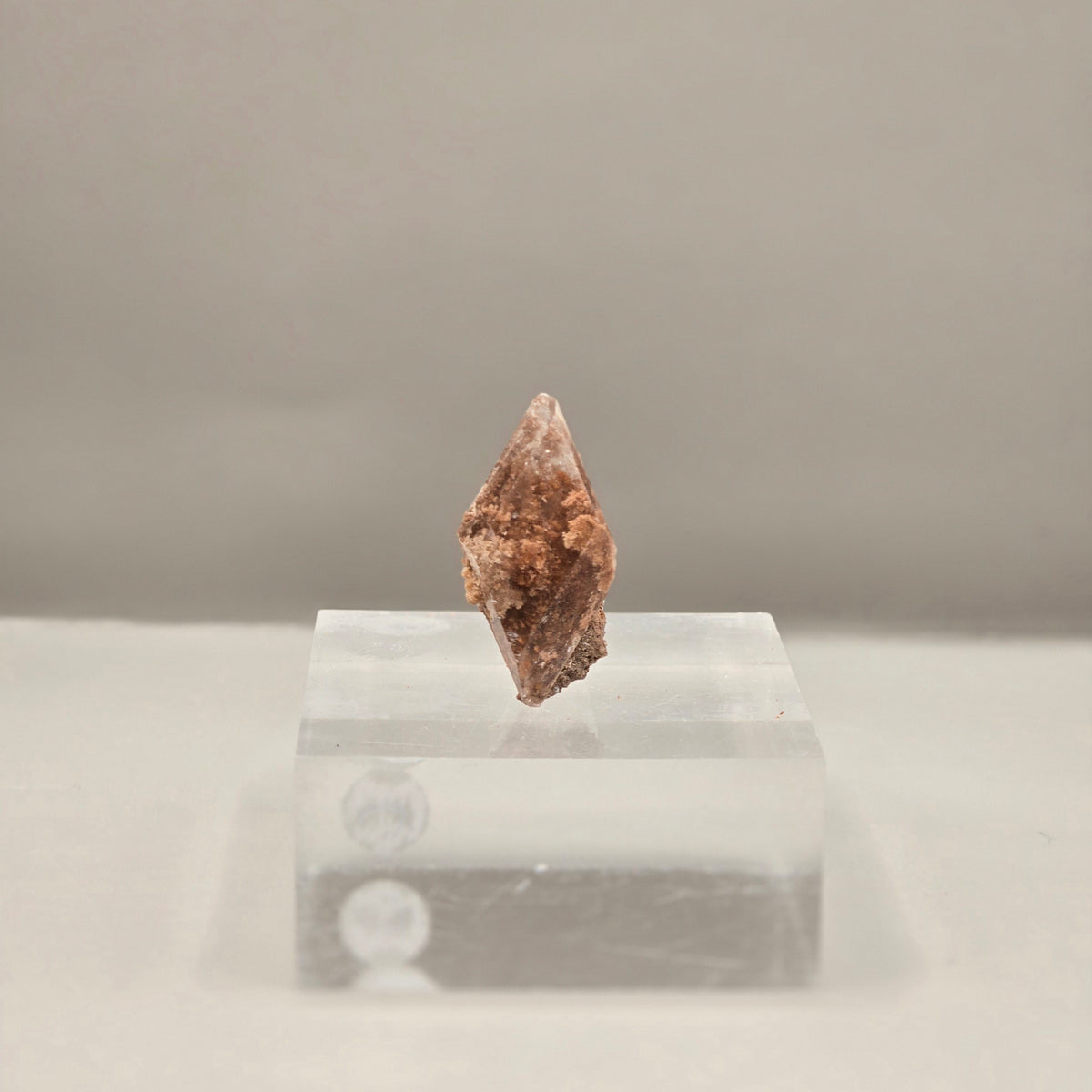 Selenite - New Find! Bermejillo, Durango, Mexico