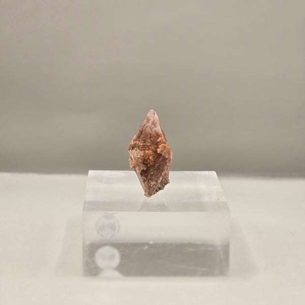Selenite - New Find! Bermejillo, Durango, Mexico