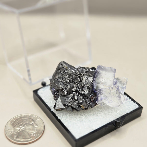 Fluorite (Elmwood, Tennessee)