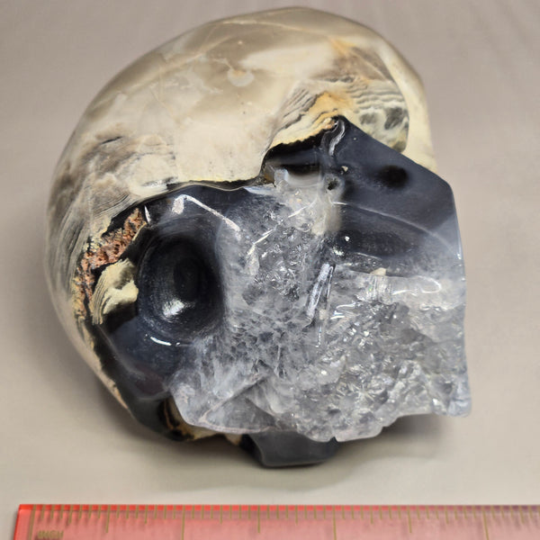 Volcanic Agate Skull