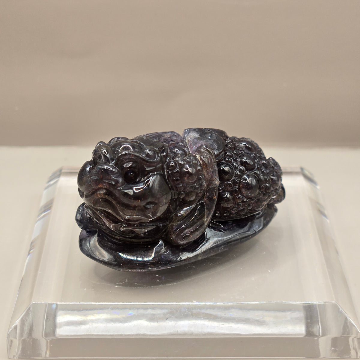 Money Toad (Iolite & Sunstone)