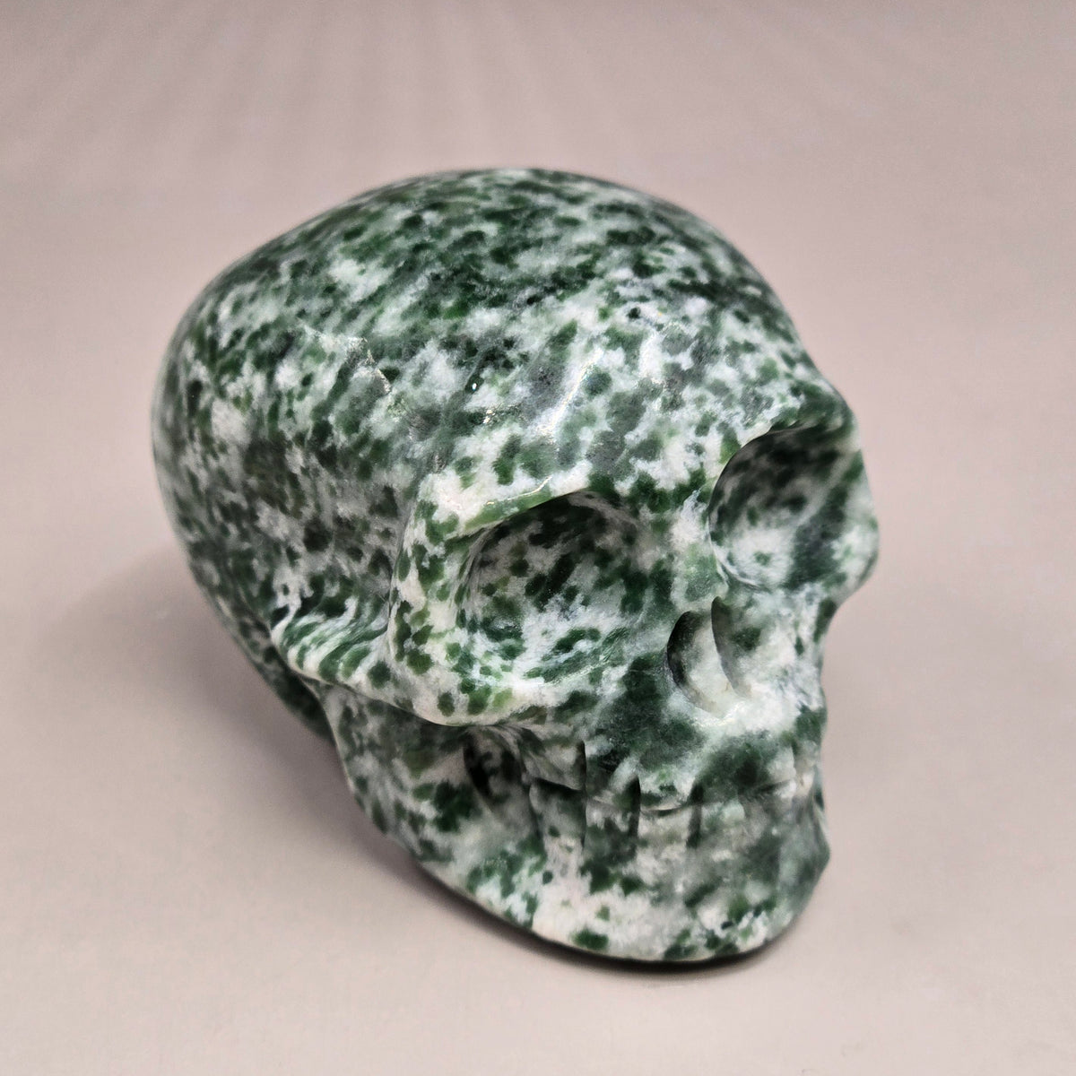 Tree Agate Skull