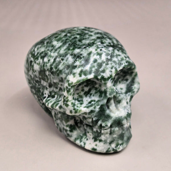 Tree Agate Skull