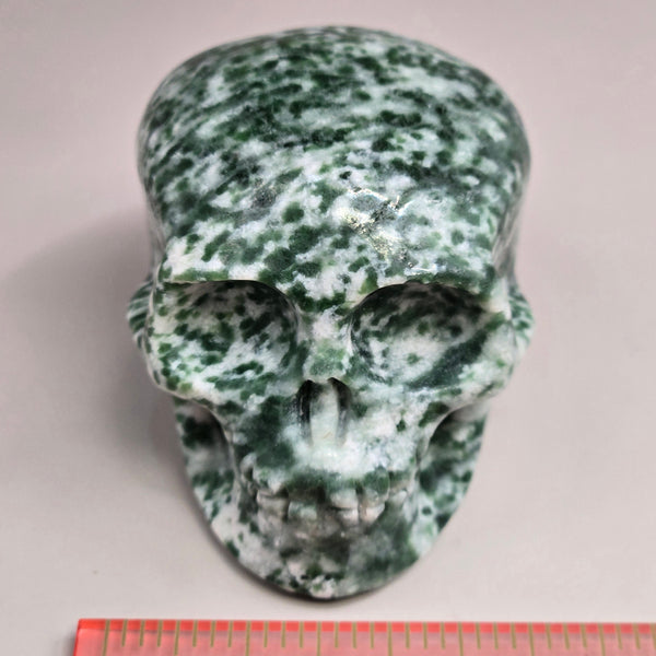 Tree Agate Skull