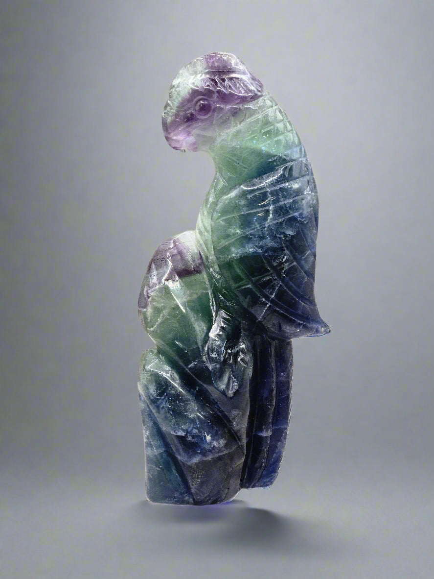 Fluorite Perched Parrot Carving