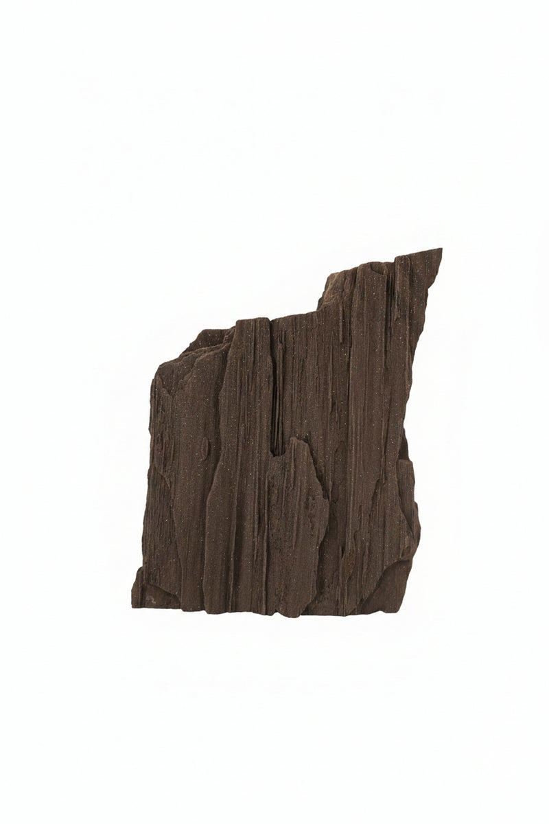Petrified Wood Germany