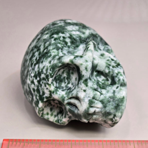 Tree Agate Skull