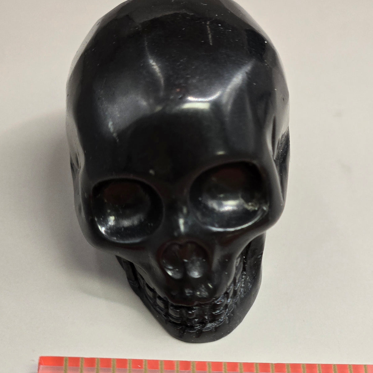 Shungite Skull
