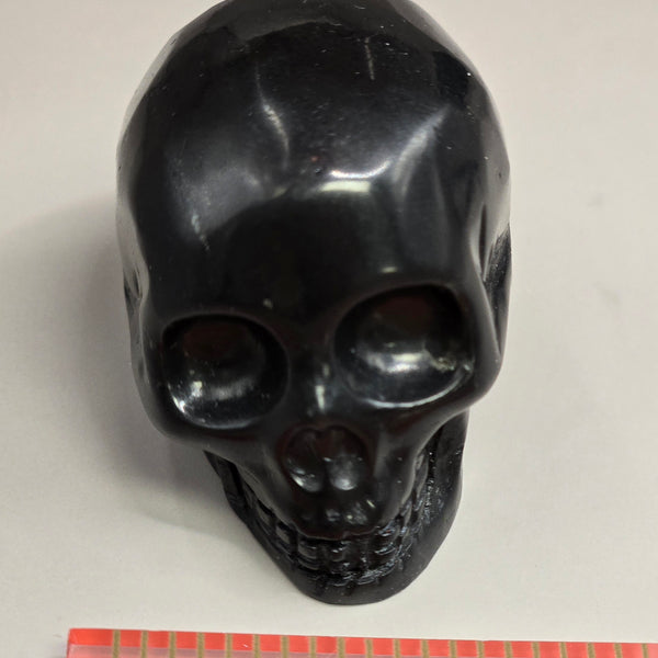 Shungite Skull