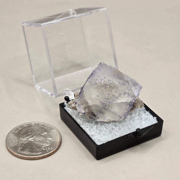 Fluorite (Elmwood, Tennessee)