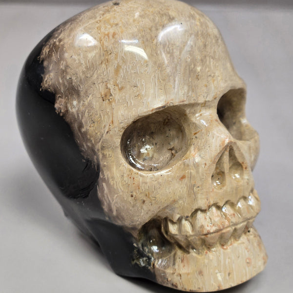 Palm Root Skull