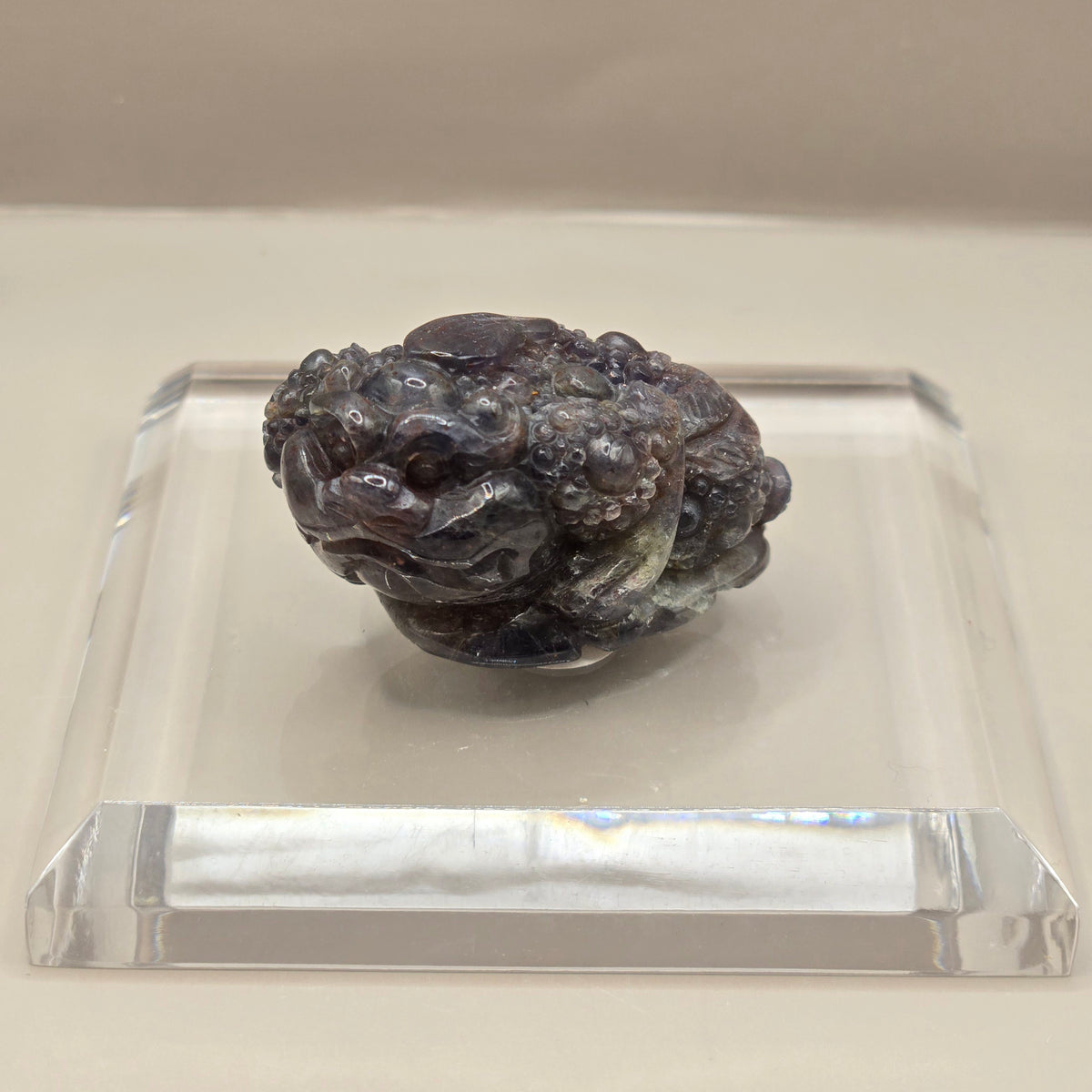 Money Toad (Iolite & Sunstone)