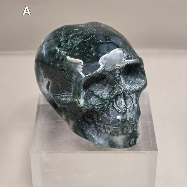Moss Agate Skull