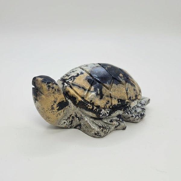 Picture Jasper Turtle
