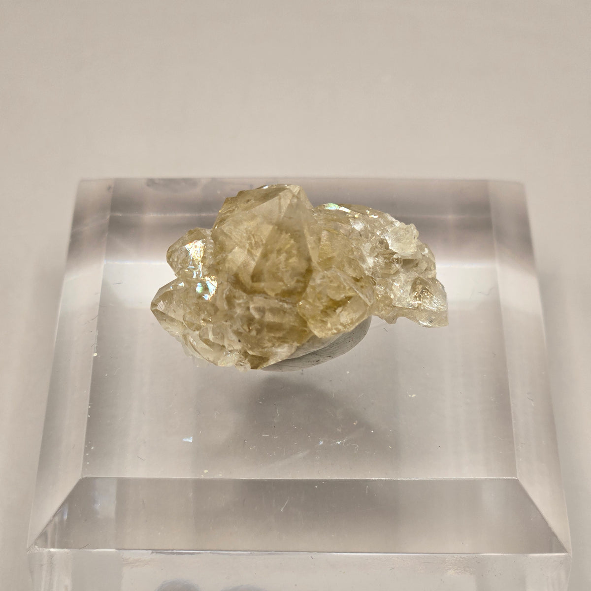 Danburite with Citrine