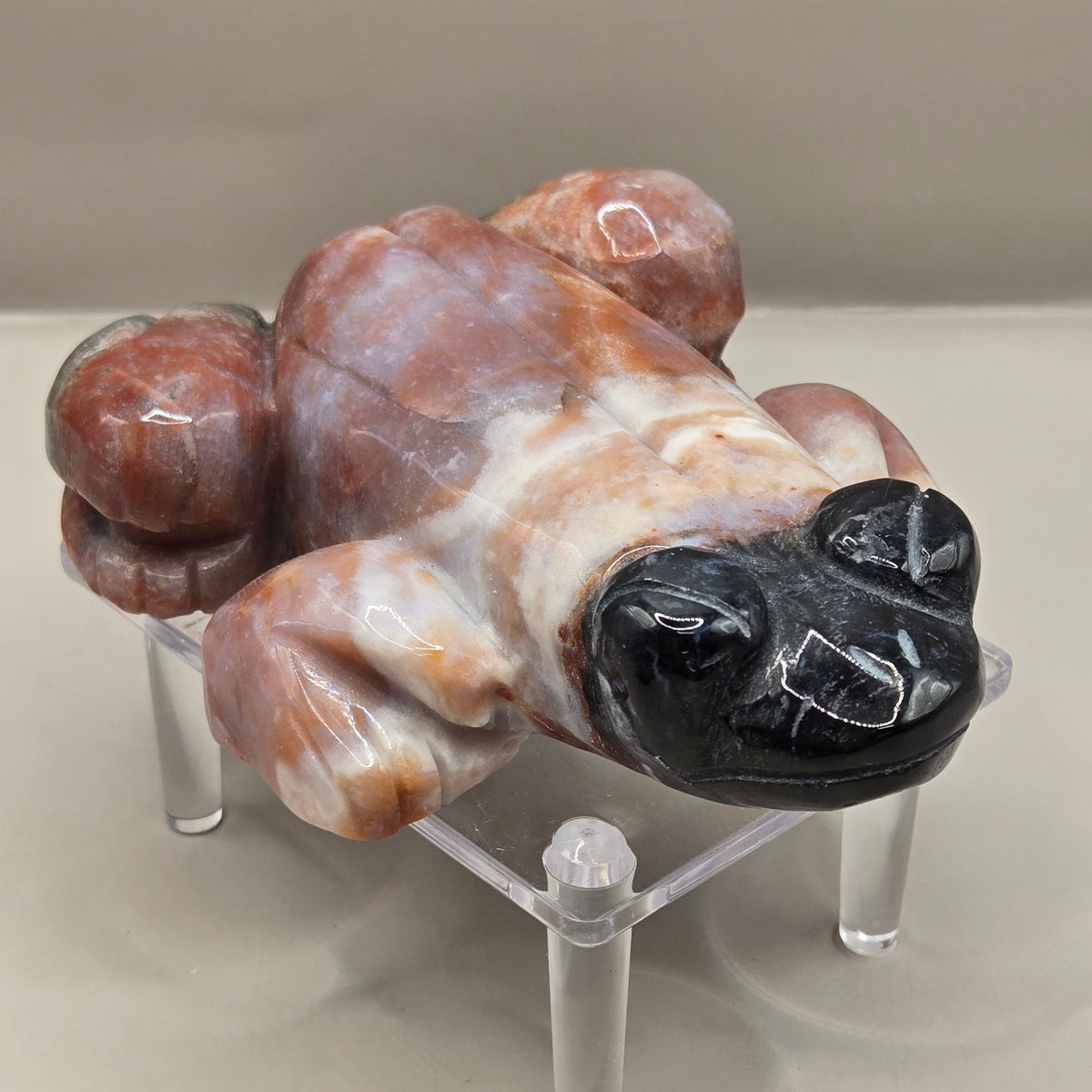 Ocean Jasper Frog (Polished)