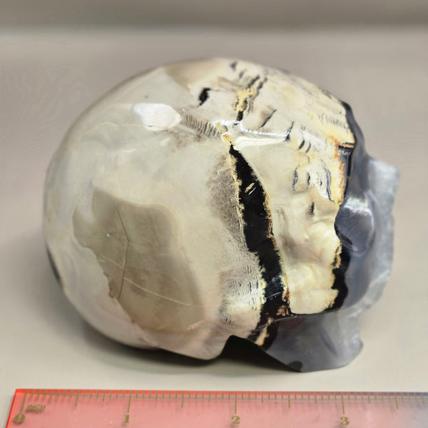 Volcanic Agate Skull