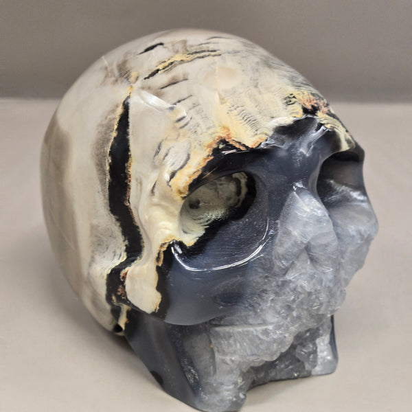 Volcanic Agate Skull