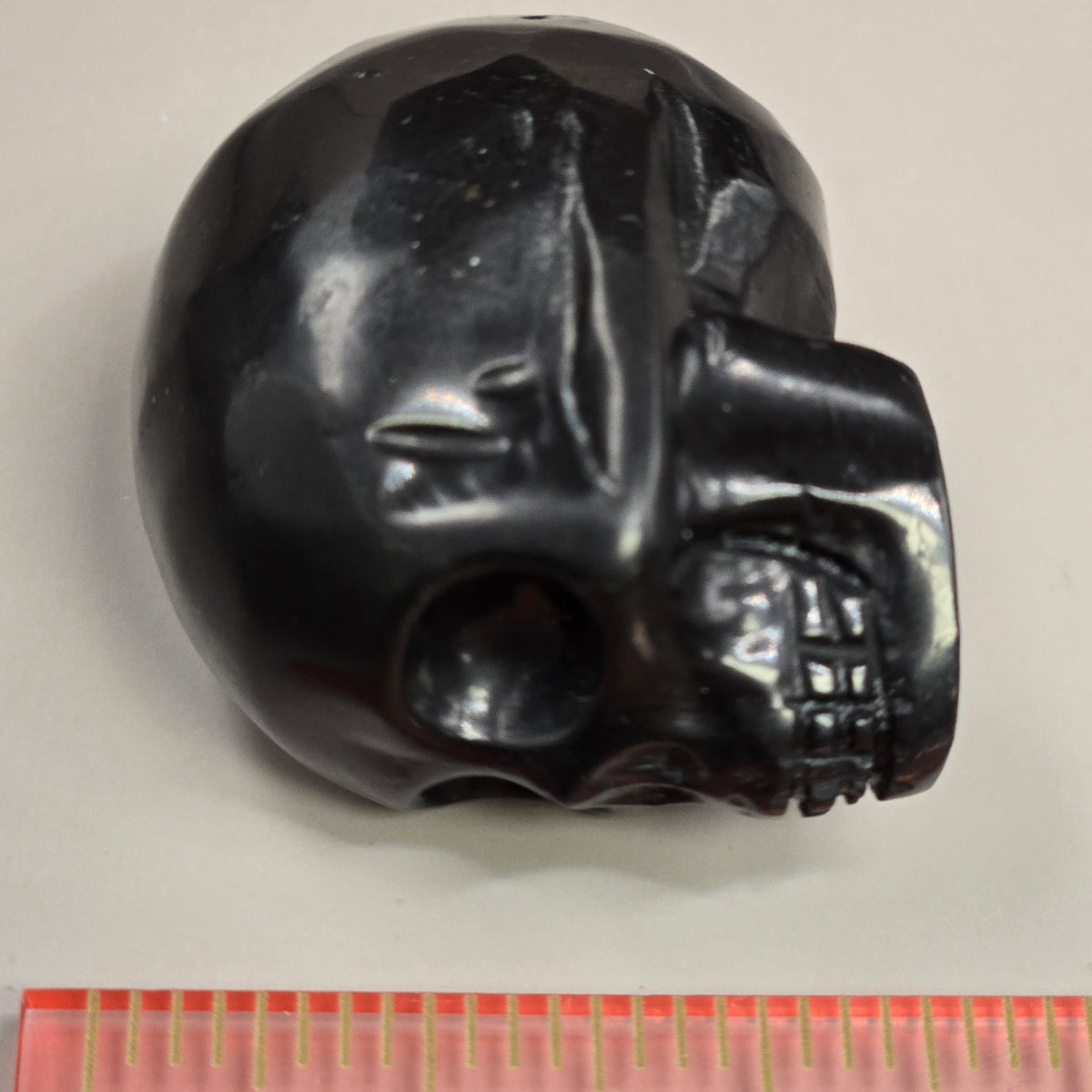 Shungite Skull