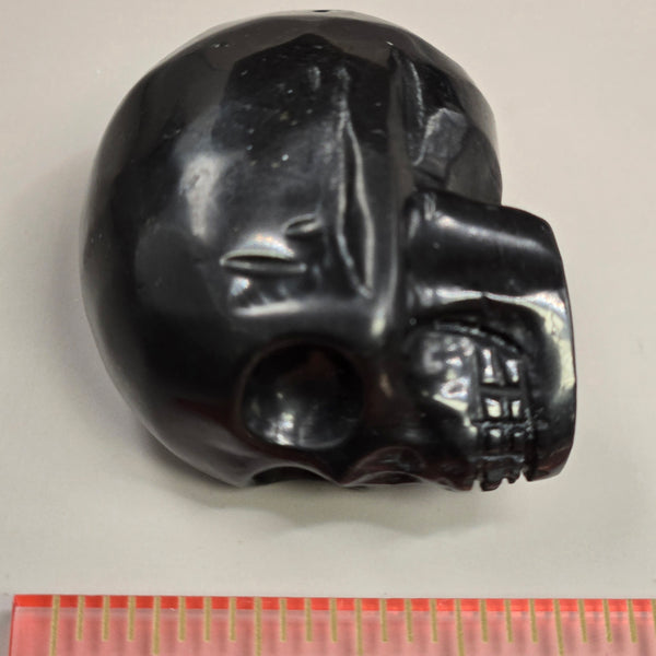 Shungite Skull