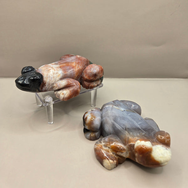 Ocean Jasper Frog (Polished)