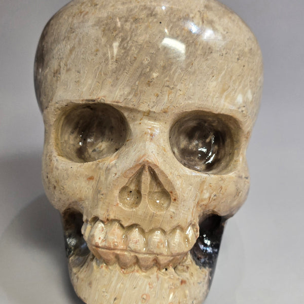 Palm Root Skull