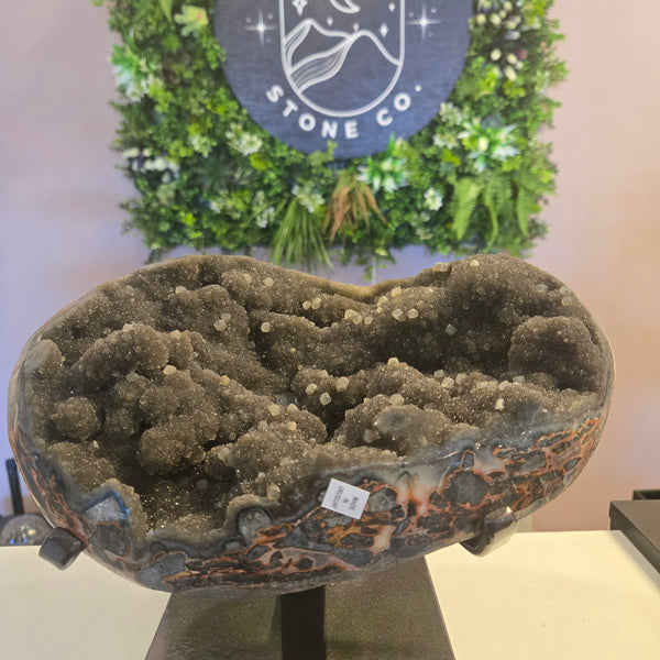 Black Amethyst Geode on stand